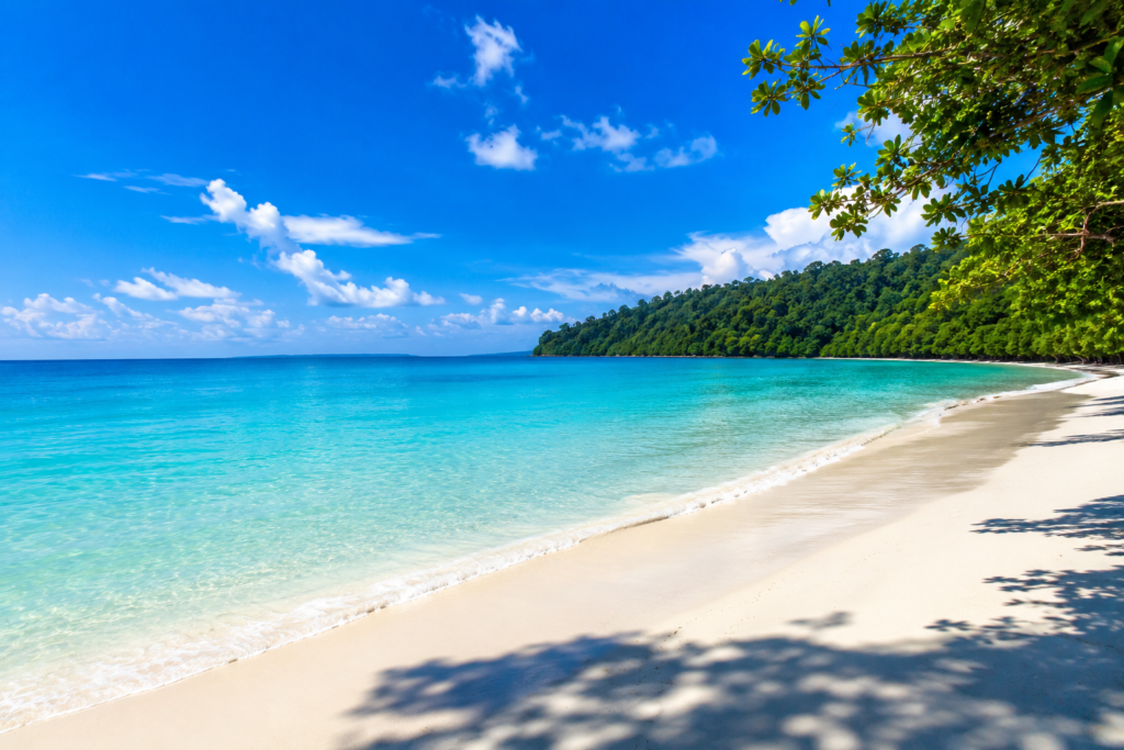 Best Beaches to Visit in India